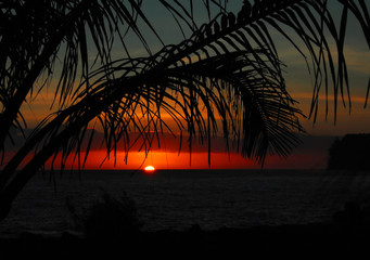 0加盟费用的小本创业项目有哪些