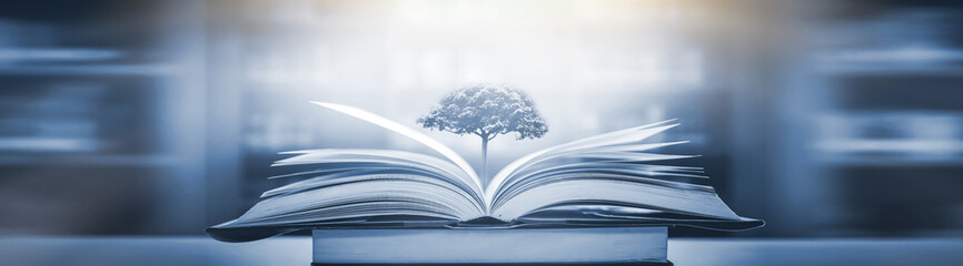 10种长发发型简单扎法