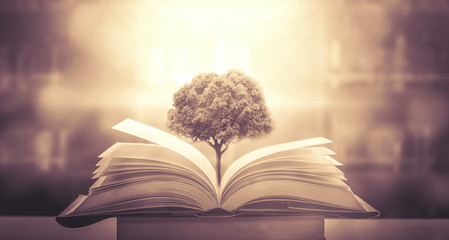 -超火九大养颜中药曝光