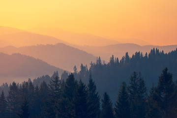 -超火九大养颜中药曝光