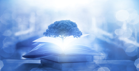 1.2米的箱货车多长