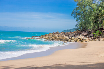 -超火九大养颜中药曝光