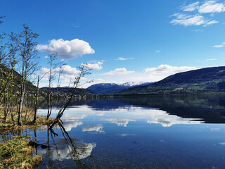 108届成都糖酒会酒店展时间