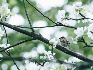 10种长发发型简单扎法