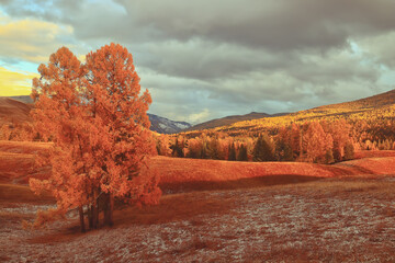 <<BLEACH>>讲的是什么意思-