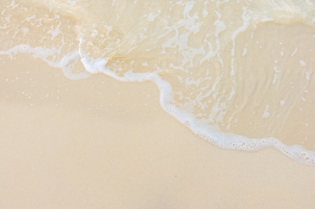 -超火九大养颜中药曝光