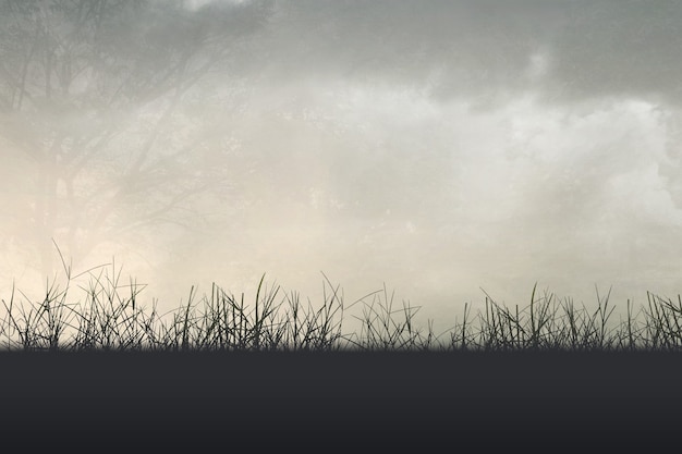 10种长发发型简单扎法