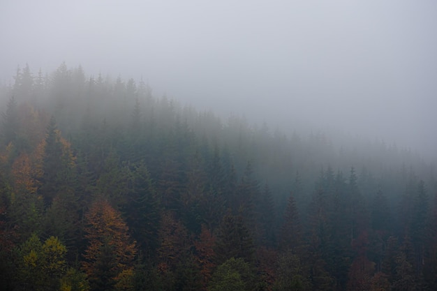 10个生活小技能