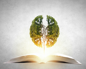 CBA全明星赛的历届全赛