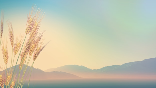 1.6速腾和1.4T速腾保养和维修费用对比