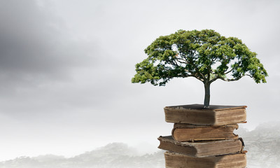 10个生活小技能