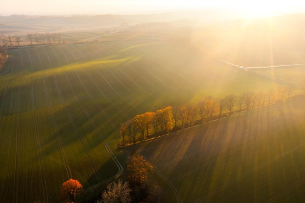 1.6速腾和1.4T速腾保养和维修费用对比